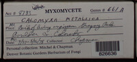 Image Associated With the Occurence